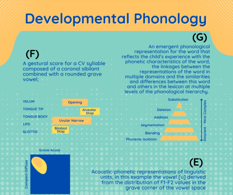 👉😊What is Phonology😊👈